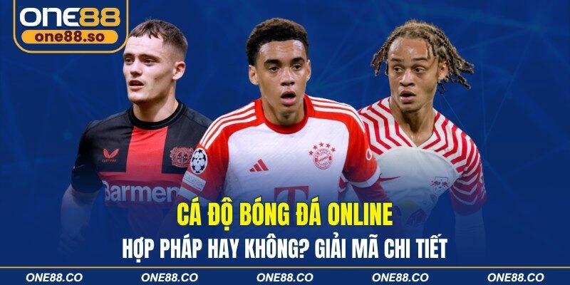 Cá Độ Bóng Đá Online – Hợp Pháp Hay Không? Giải Mã Chi Tiết
