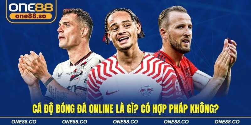 Cá độ bóng đá online là gì? Có hợp pháp không?